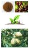 Sell best quality Horse Chestnut extract powder