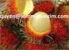 Sell Rambutan fruit