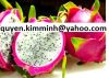 Sell Dragon fruit Vietnam