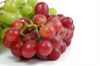 Sell  High Quality Fresh Seedless Grapes