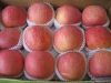 Sell Fresh Red Fuji Apples