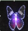 Sell 4" Multi-Color Changing Fiber Optic Butterfly