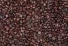 Export Coffee Beans | Arabica Coffee Beans Suppliers | Robusta Coffee Beans Exporters | Coffee Bean Traders | Wholesale Instant Coffee | Buy Coffee Beans | Bulk Coffee Bean | Green Coffee Bean Buyer | Low Price Roasted Coffee Bean | Import Coffee Bean | C