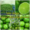 Sell Fresh or Frozen Green Limes