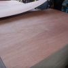 Sell film faced plywood price
