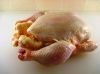 Sell HALAL Frozen Whole Chicken (without giblets, without necks)