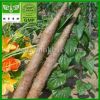 Sell Wild Yam Extract 6%