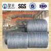 sell Wire rod 5.5 /6.5 / 8 / 10 mm