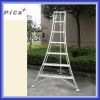 Sell aluminum tripod welding ladders