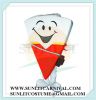 Sell triangle pizza mascot costume