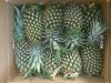 Sell Delicious Fresh Pineapple - VERY Cheap price