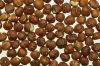 Oragnic Macadamia Nuts
