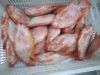 Sell frozen tilapia