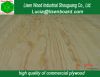 Sell Radiata Pine plywood / pine plywood/new zealand pine plywood/russ