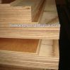 Sell 28mm Container Plywood/Container Plywood/container flooring