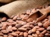 Sell Cocoa Beans