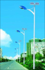 30W LED solar street light with 6M pole