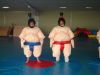 Sell inflatable sumo costume/Inflatable sport games/sumo suit