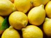 Fresh Citrus fruits, fresh lemons, freash navel and valencia oranges