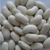 White Haricot Beans