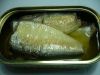 Canned Sardine