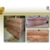 Sell  Red Travertine
