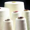 Sell 100 % Cotton Yarns