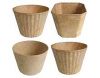 Biodegradable Flower Pot