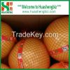 Sell fresh pomelo