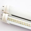 Sell t8 led tube light 9w 12w15w18w20w22w