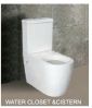 two pieces P-trap water closet