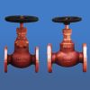 Sell Marine bronze screw down check globe(angle) valve