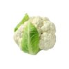 Hot sale of high quality fresh cauliflower  accept custom planting