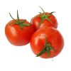 Hot sale of high quality fresh tomatoes accept custom planting
