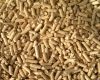 Wood Pellets and Briquettes