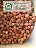 Hazelnut Kernels