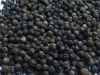 Black Pepper 500g/L-550g/L