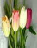 Sell Plastic Artificial Tulip Flower