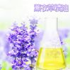 Sell Lavander oil