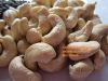 Sell Vietnam cashew kernels good price skype: visimex02