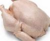 Sell WHOLE FROZEN CHICKEN (HALAL / NON HALAL)
