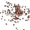 Cauliflower Seeds, Cauliflower Seeds Extract
