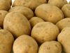 Sell Fresh Farm Potatoes
