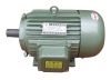 Y Three Phase Induction Motor