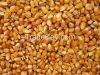 Yellow Corn Grade 2 - Animal Feed