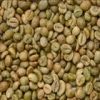 Export Coffee Beans | Arabica Coffee Beans Suppliers | Robusta Coffee Beans Exporters | Coffee Bean Traders | Wholesale Coffee Beans | Buy Coffee Beans | Bulk Coffee Bean | Green Coffee Bean Buyer | Low Price Roasted Coffee Bean | Import Coffee Bean | Cof