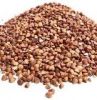 Sell Roasted buckwheat kernel