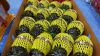 SELL PREMIUM FRESH MINI PINEAPPLE / PHULAE Variety