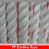 Sell PP Danline rope , PP rope , Plastic rope