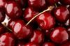 Sell Fresh Cherries